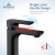 Blossom Single Handle Lavatory Faucet - Matte Black - F01 120 04