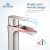 Blossom Single Handle Lavatory Faucet - Brush Nickel - F01 305 02