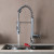 Blossom Single Handle Pull Out Kitchen Faucet - Chrome - F01 205 01