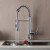 Blossom Single Handle Pull Out Kitchen Faucet - Chrome - F01 205 01