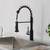 Blossom Single Handle Pull Down Kitchen Faucet - Matte Black - F01 205 04