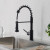 Blossom Single Handle Pull Down Kitchen Faucet - Matte Black - F01 205 04
