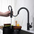 Blossom Single Handle Pull Down Kitchen Faucet - Matte Black - F01 206 04