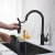 Blossom Single Handle Pull Down Kitchen Faucet - Matte Black - F01 206 04