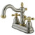 Kingston Brass Two Handle 4" Centerset Lavatory Faucet with Pop-Up Drain Drain - Brushed Nickel/Polished Brass KB1609AX