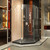 DreamLine DL-6052-88-01 Prism Lux 40 in. D x 40 in. W x 74 3/4 in. H Frameless Shower Enclosure in Chrome and Corner Drain Black Base