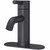 Pfister LG42-NB00 Contempra Single Handle Lavatory Faucet - Matte Black