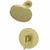 Pfister Contempra Shower Faucet Trim - Brushed Gold - LG89-7NCBG