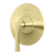 Pfister Rhen Tub & Shower Valve Trim - Brushed Gold - R89-1RHBG