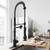 Vigo VG02007MBK1 Zurich Pull-Down Spray Kitchen Faucet with Deck Plate in Matte Black