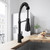 Vigo Brant Pull-Down Spray Kitchen Faucet In Matte Black
