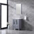 Lexora Volez 24 Inch Dark Grey Single Vanity, Integrated Top, White Integrated Square Sink and 22 Inch Mirror