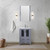 Lexora Volez 24 Inch Dark Grey Single Vanity Cabinet, Integrated Top, White Integrated Square Sink and no Mirror