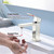 Lexora Monte Stainless Steel Single Hole Bathroom Faucet - Satin Nickel