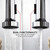 Lexora Lanuvio Brass Kitchen Faucet w/ Pull Out Sprayer - Chrome