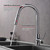 Lexora Olivi Brass Kitchen Faucet w/ Pull Out Sprayer - Chrome