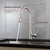 Lexora Olivi Brass Kitchen Faucet w/ Pull Out Sprayer - Brushed Nickel