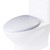 EAGO R-346SEAT Replacement Soft Closing Toilet Seat for TB346