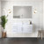 Lexora Geneva 48" Glossy White Single Wall Mount Vanity Cabinet, no Top and 48" LED Mirror