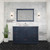 Lexora Dukes 48" Navy Blue Single Vanity Cabinet, White Carrara Marble Top, White Square Sink and 46" Mirror w/ Faucet