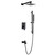 Lexora Cero Tub & Shower Faucet Set, 8" Square Rain Shower and Handheld, Matte Black