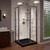 DreamLine Cornerview 42 in. D x 42 in. W x 74 3/4 in. H Framed Sliding Shower Enclosure in Brushed Nickel with Black Acrylic Base