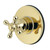 Kingston Brass KS3032BX 3-Way Diverter Valve with Trim Kit, Polished Brass