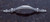 JVJ Chrome 3" C/C Door Pull - 43026