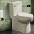 Swiss Madison SM-1T116BQ Classé One-Piece Toilet with Front Flush Handle 1.28 gpf - Bisque