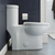 Swiss Madison SM-1T205 Sublime One-Piece Elongated Toilet Dual-Flush 1.1/1.6 gpf - Glossy White