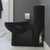 Swiss Madison SM-1T205MB Sublime One-Piece Elongated Toilet Dual-Flush 1.1/1.6 gpf in Matte Black