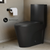 Swiss Madison SM-1T254MB St. Tropez One-Piece Elongated Toilet Vortex Dual-Flush 1.1/1.6 gpf - Matte Black