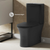 Swiss Madison SM-2T120MB Calice Two-Piece Elongated Rear Outlet Toilet Dual-Flush 0.8/1.28 gpf - Matte Black