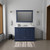 Lexora LD342248SEWQM46 Dukes 48" Navy Blue Single Vanity Cabinet, White Quartz Top, White Square Sink and 46" Mirror