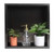 ALFI 16" x 16" Brushed Black PVD Steel Square Single Shelf Shower Niche - ABNP1616-BB