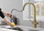 Oakland  KSK1218-SG Two Handle Pull-Down Single Hole Kitchen Faucet - Satin Gold