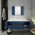 Fresca FVN6148RBL-UNS Fresca Lucera 48" Royal Blue Wall Hung Undermount Sink Modern Bathroom Vanity w/ Medicine Cabinet