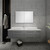 Fresca FVN6160GR-UNS Fresca Lucera 60" Gray Wall Hung Single Undermount Sink Modern Bathroom Vanity w/ Medicine Cabinet