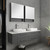 Fresca FVN6160GR-VSL-D Fresca Lucera 60" Gray Wall Hung Double Vessel Sink Modern Bathroom Vanity w/ Medicine Cabinets