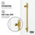 Vigo VG6022MGCL6076 Elan Hart Frameless Shower Door In Matte Brushed Gold