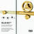 Vigo Elan Cass Aerodynamic 48 In. x 76 In. Frameless Sliding Shower Door In Matte Brushed Gold