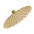 Gerber D460069BB Drench Round 8" 1 Function Rain Showerhead 1.75gpm - Brushed Bronze