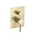 Flusso UF.2100TSB Tub / Shower Trim - 2-Output - Satin Brass