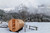 Golden Designs "Klosters" 6 Person Barrel Traditional Sauna -  Pacific Cedar - GDI-B006-01
