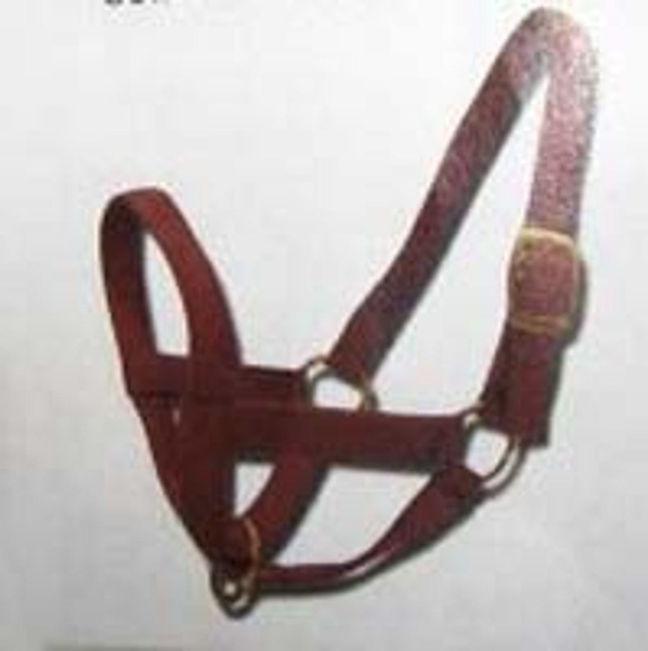 Webbing Calf Halter