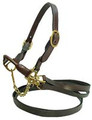 Cattle Halter Brown Brass