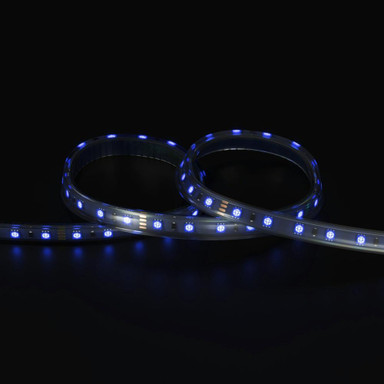 Tagra | Professional LED Strip Light | 60 LEDs p/m | 24V | IP67 | 14.4W/m | RGB | 5M Reel - TP24-RGB-IP-StripLight-BLUE.jpg