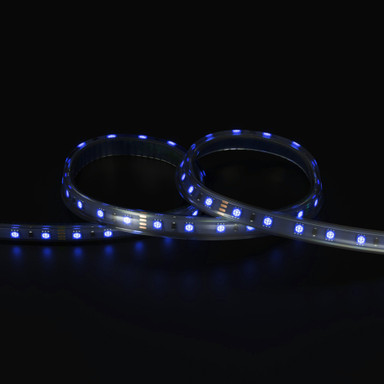 Tagra | Professional LED Strip Light | 60 LEDs p/m | 24V | IP67 | 14.4Wp/m | RGB | 5M Reel - TP24-RGB-IP-StripLight-BLUE.jpg