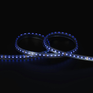 Tagra | Professional LED Strip Light | 120 LEDs p/m | 24V | IP67 | 11Wp/m | RGB | 5M Reel - TA24-RGB-120-IP-StripLight-BLUE.jpg