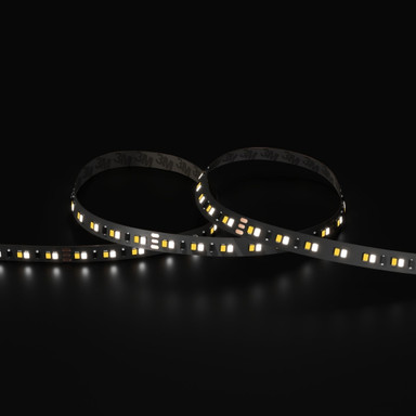 Tagra | Professional LED Strip Light | 140 LEDs p/m | 24V | IP20 | 19.2W/m | CCT | 5 & 50M Reel - TP24-276K-StripLight-6K.jpg